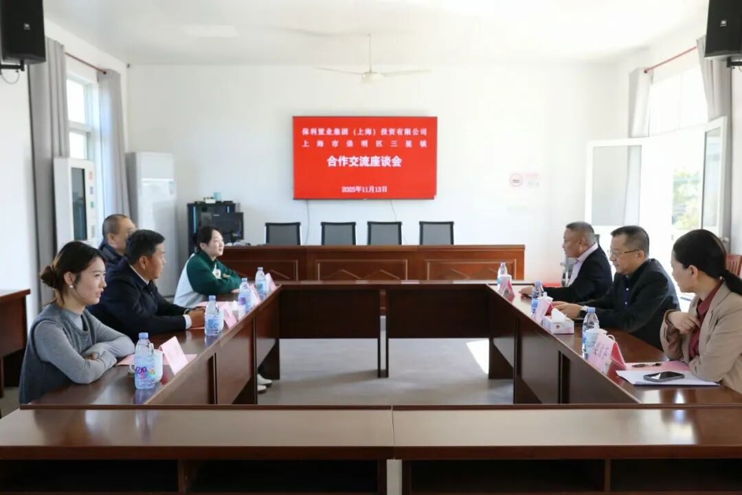 保利置业集团（上海）投资有限公司与三星镇开展合作交流活动