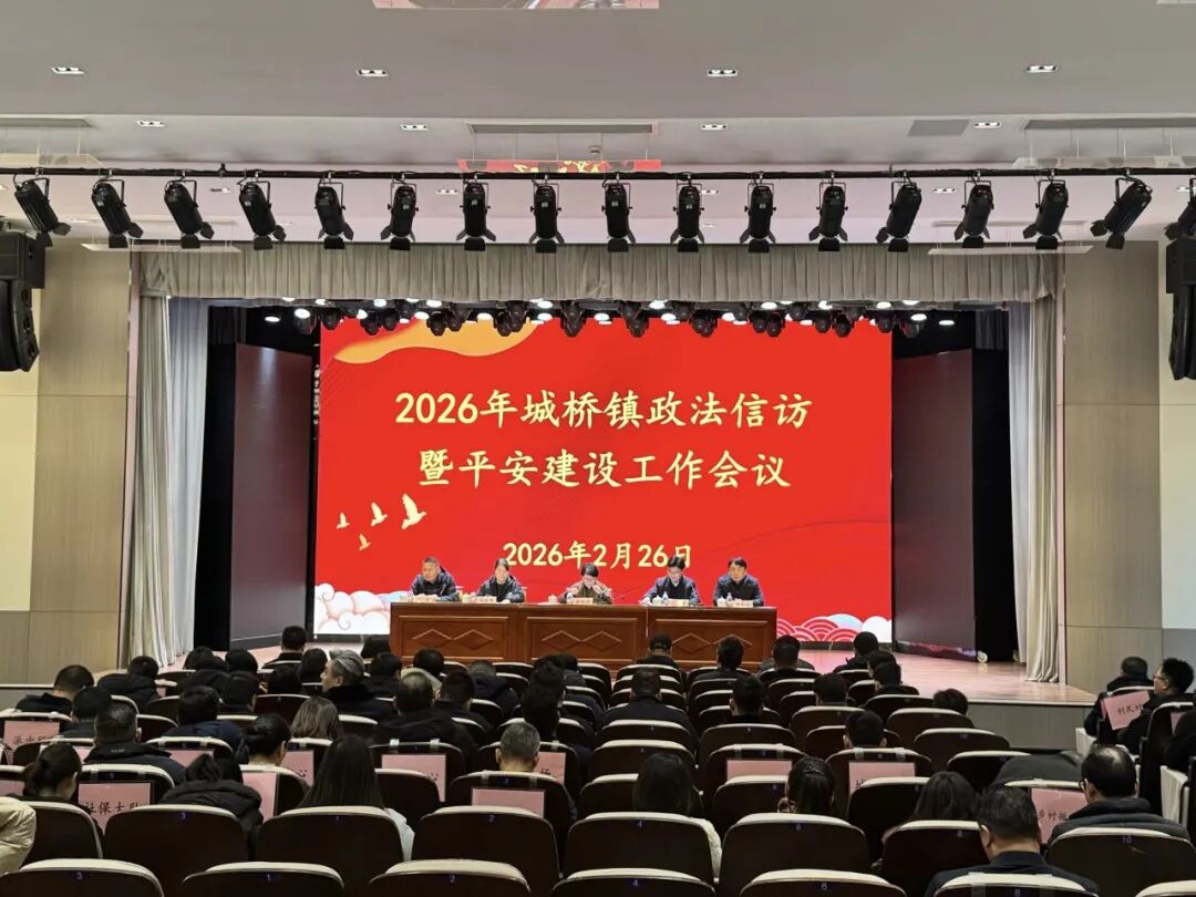城桥镇召开2026年政法信访暨平安建设工作会议