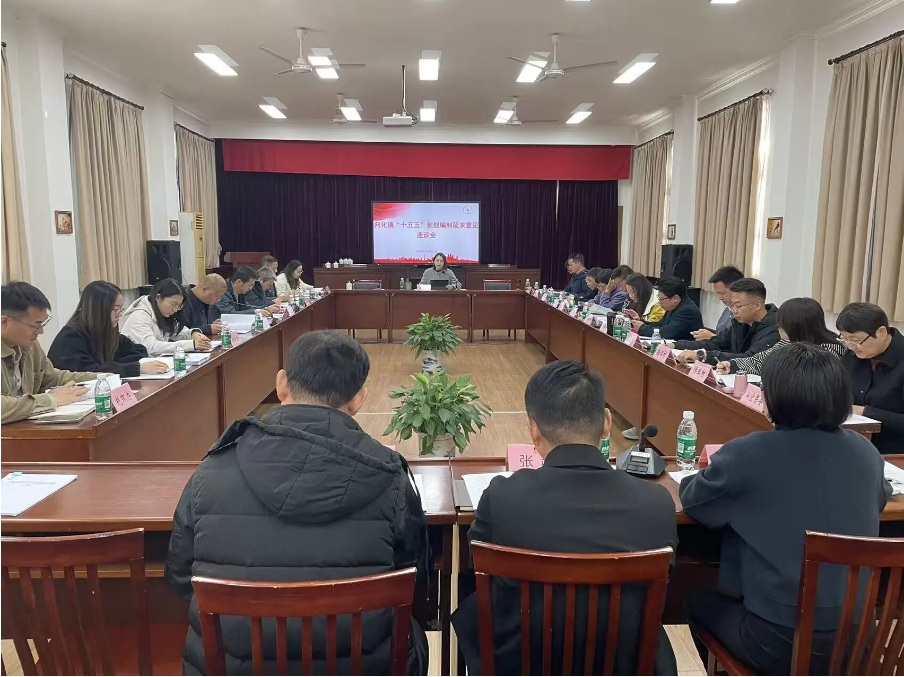 向化镇召开“十五五”规划编制征求意见座谈会