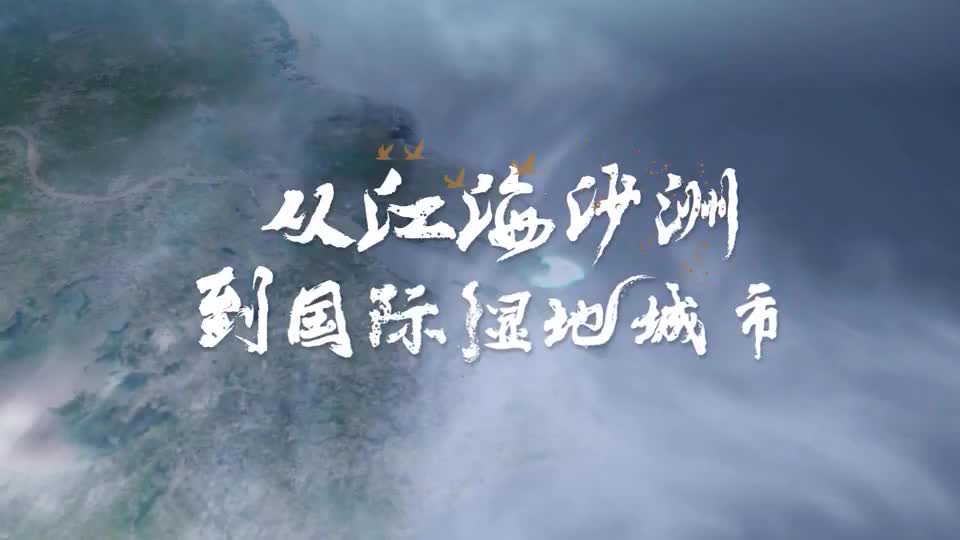 从江海沙洲到国际湿地城市，崇明经历了什么变化？