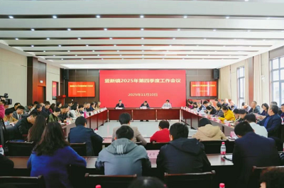 竖新镇召开2025年第四季度工作会议 | 打好“收官战”  谋好“开局篇”