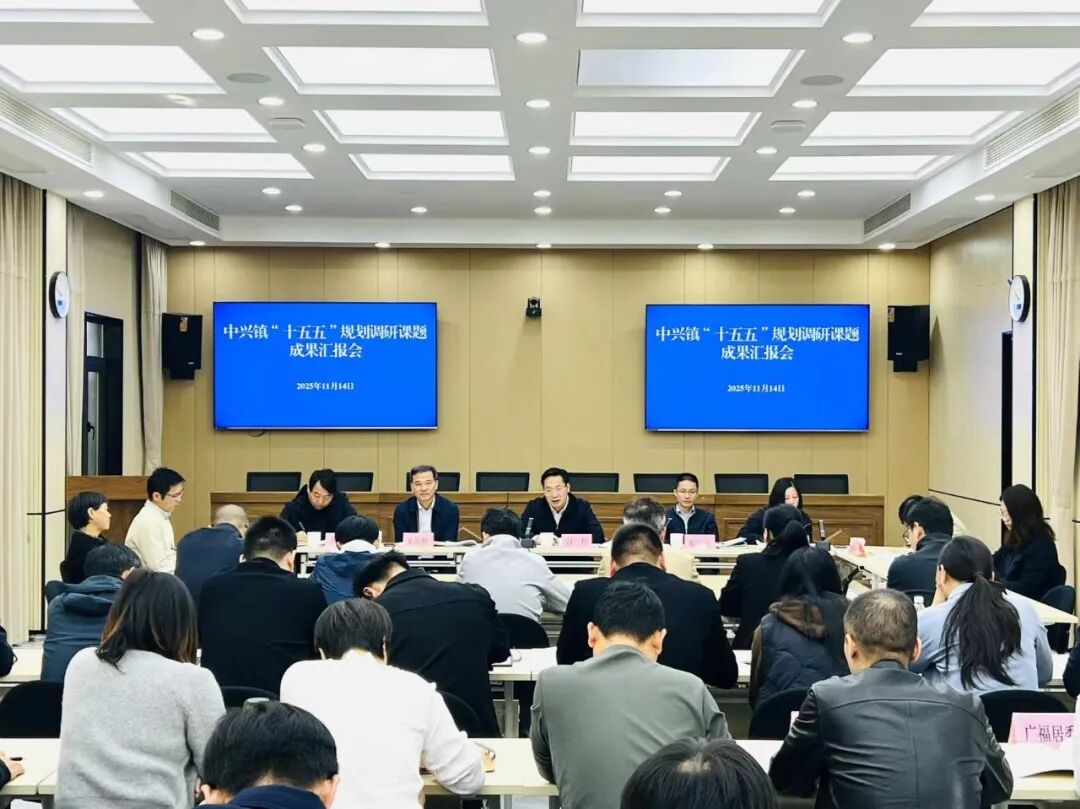 中兴镇召开“十五五”规划调研课题成果汇报会