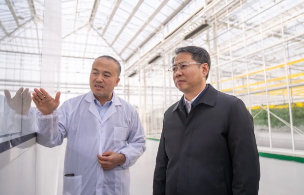 打造都市现代绿色农业高地！区领导调研重点农业主体发展情况