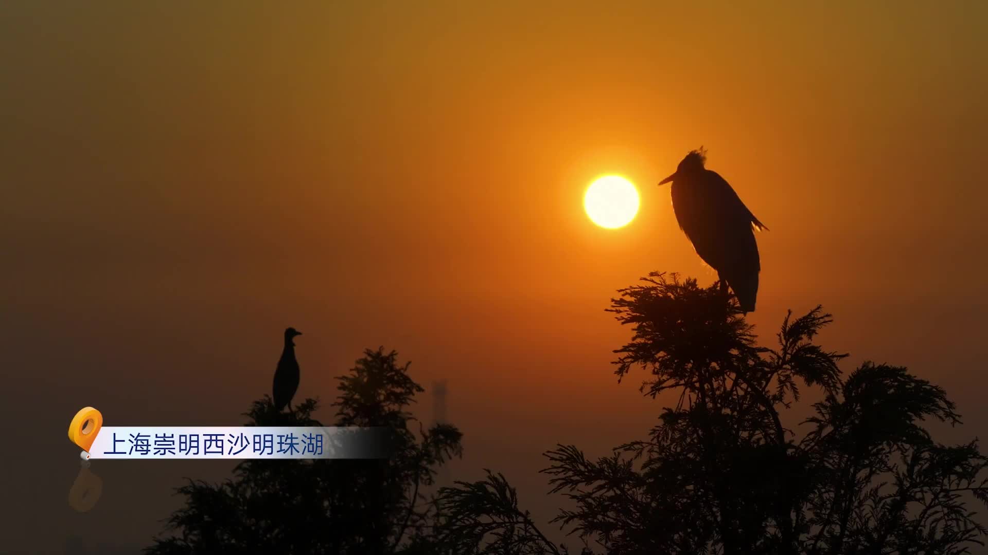 自行车名将周瑜，带你打卡西沙明珠湖