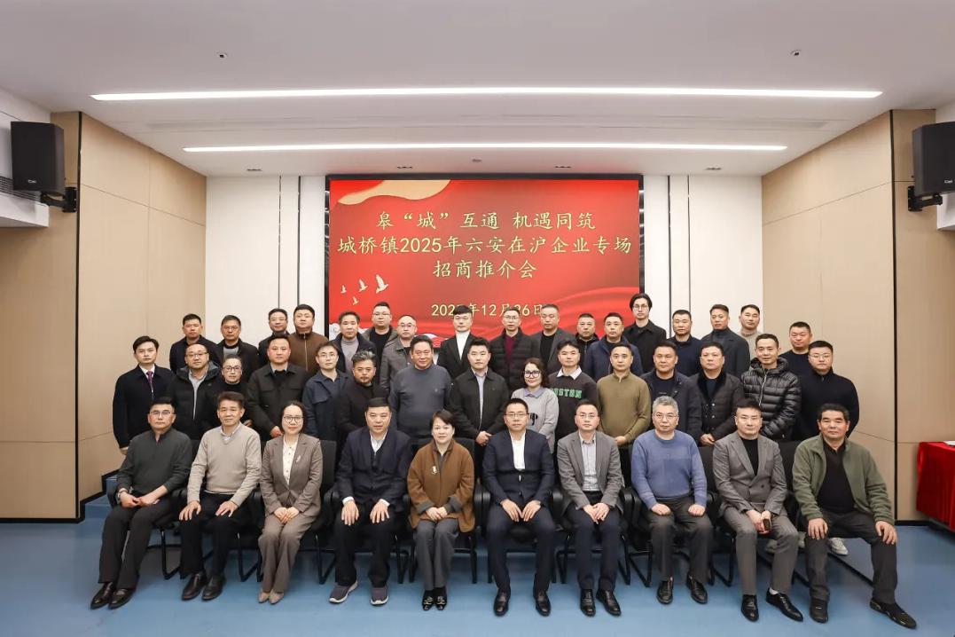 城桥镇2025年六安在沪企业专场招商推介会成功举办