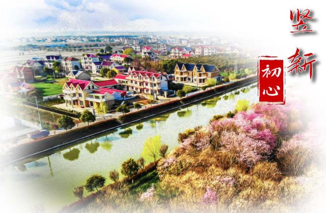 崇明区竖新镇人民政府关于“我为竖新镇‘红色小镇、农创智谷’发展献一策”主题征集令