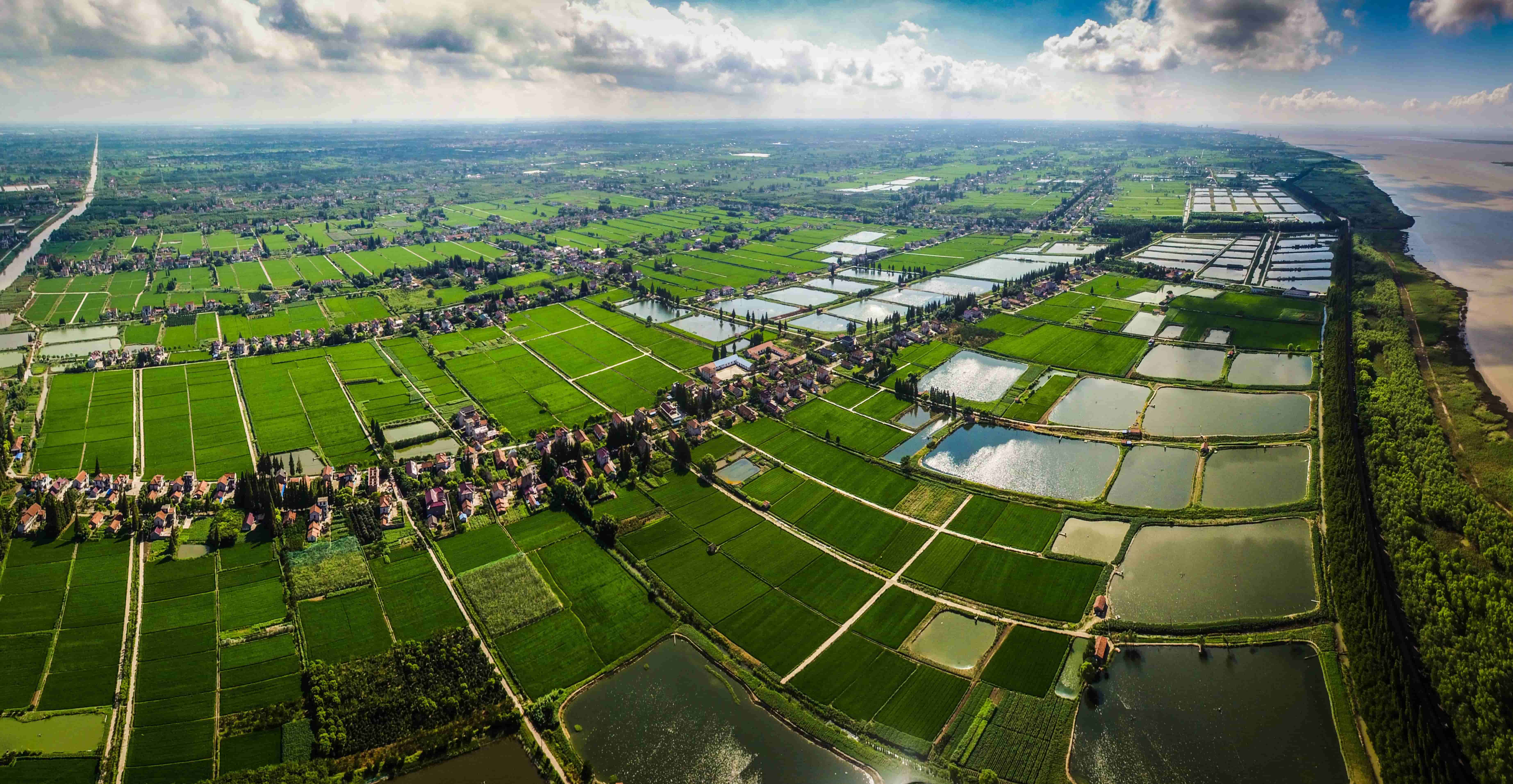 “乡村振兴齐献策 共绘瀛洲新画卷” 主题征集令