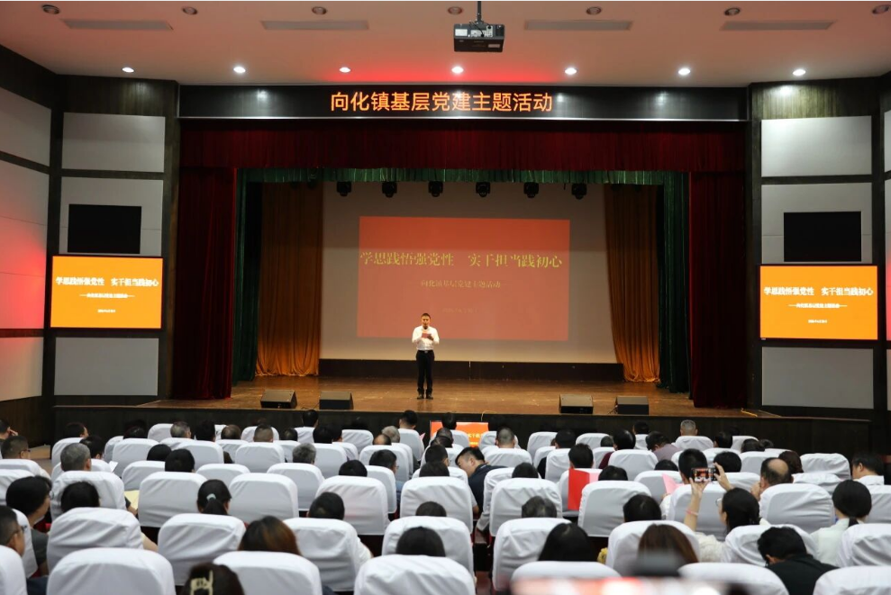 向化镇开展“学思践悟强党性 实干担当践初心”主题活动