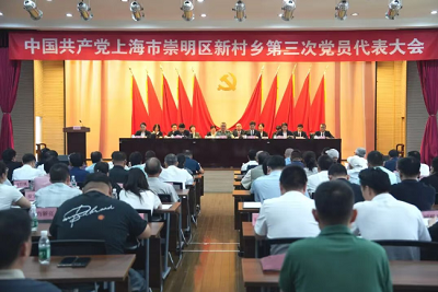 坚定信心接续奋斗 实干争先勇毅前行——中国共产党上海市崇明区新村乡第三次党员代表大会胜利召开
