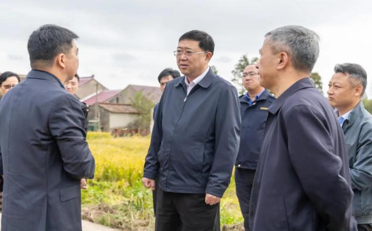 坚决守牢耕地保护红线，李峻督查宅基地违法占耕突出问题整改工作