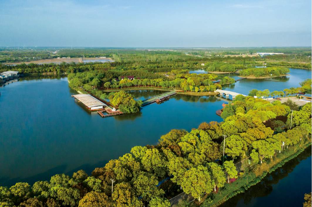 黄宗逵 黄宁宁 钟扬｜城乡教育高质量发展的崇明答卷