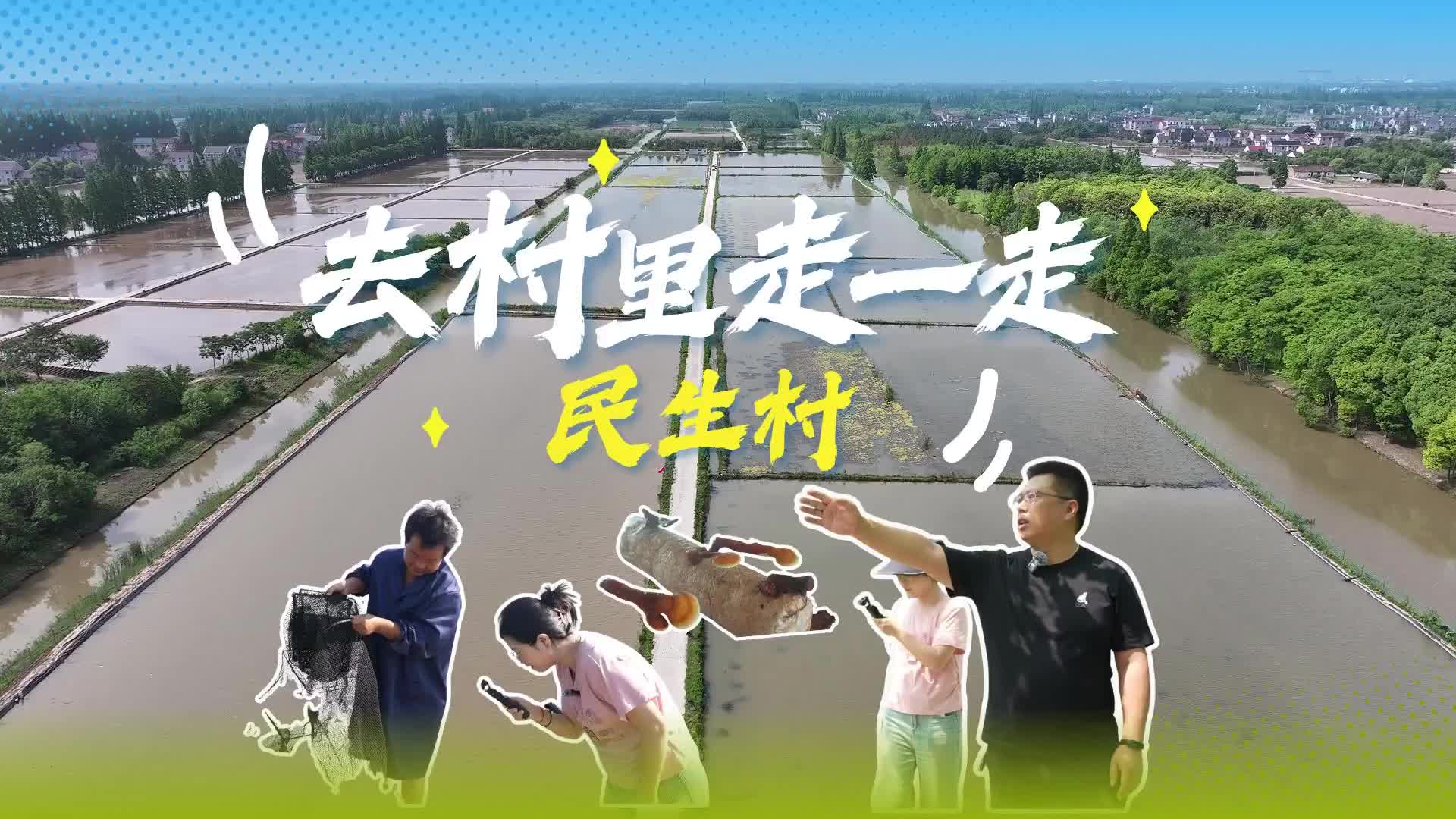 去村里走一走，看这个村如何走出农业新路子