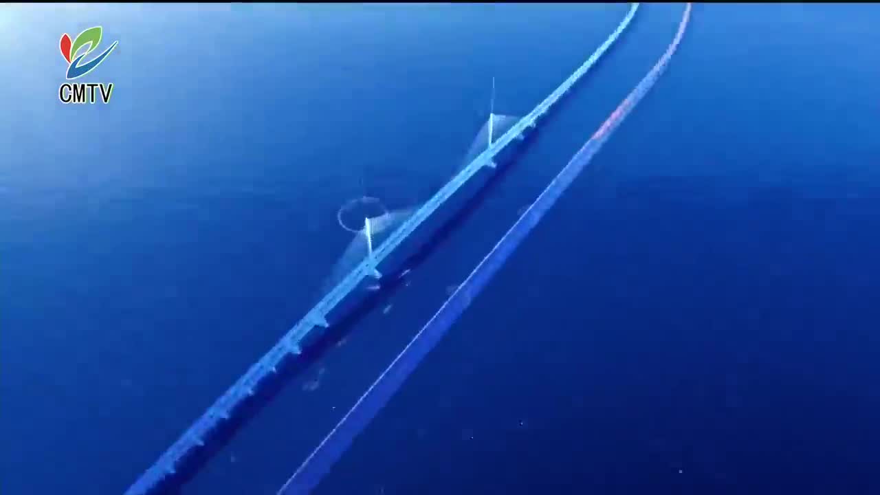 视频｜20260311崇明新闻完整版