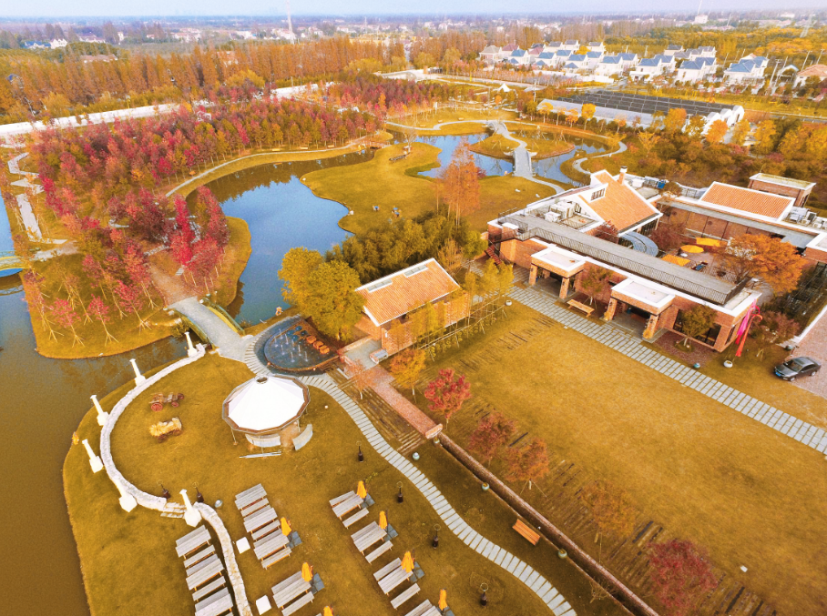 崇明的秋天，美得刚刚好