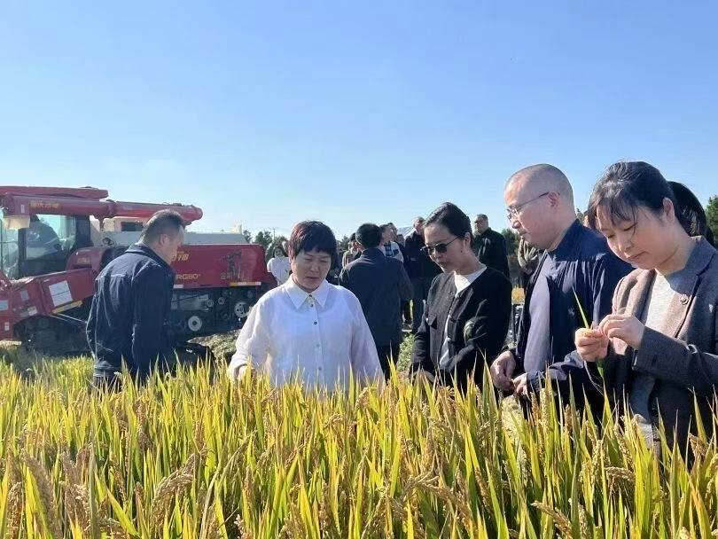 崇明区召开“三秋”工作现场推进会全力护航秋季农业生产