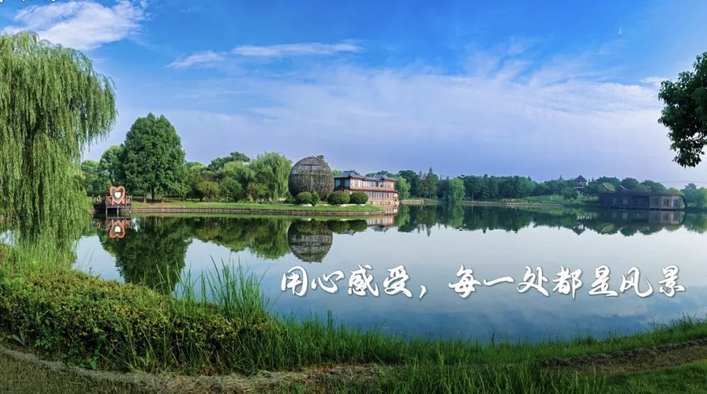 我为新海镇智慧养老献一计