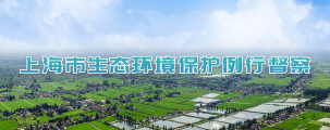 上海市生态环境保护例行督察