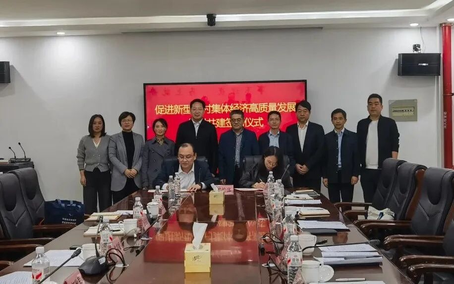 区经委与中兴镇开展促进新型农村集体经济高质量发展结对共建活动