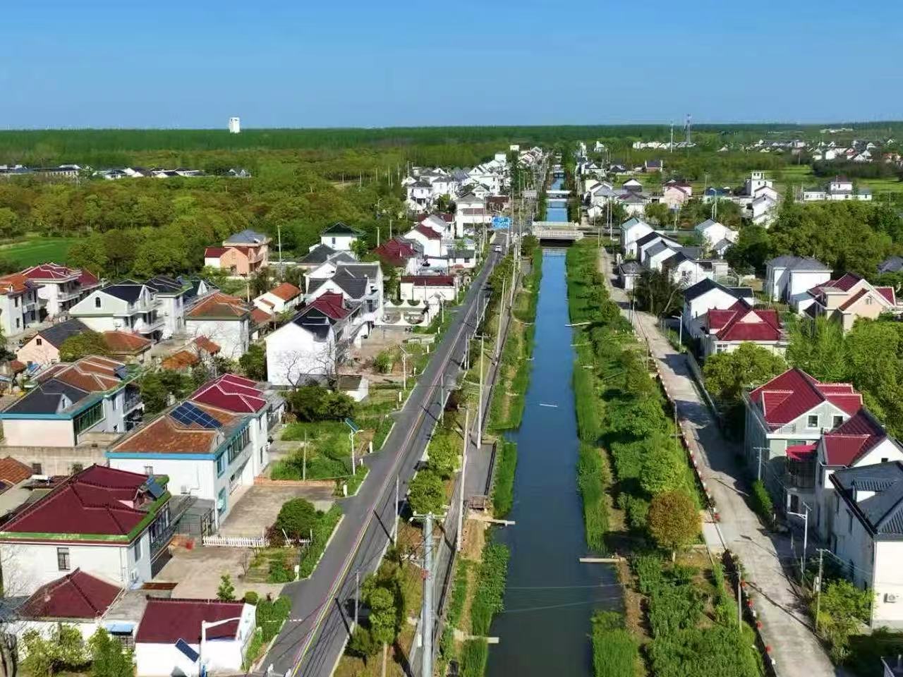 崇明区深化农村公路管理养护体制改革试点主题获“优秀”