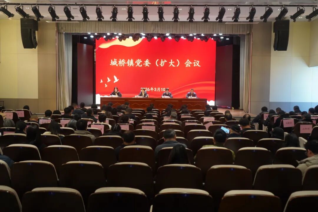 城桥镇召开党委（扩大）会议，研究部署树立和践行正确政绩观学习教育工作