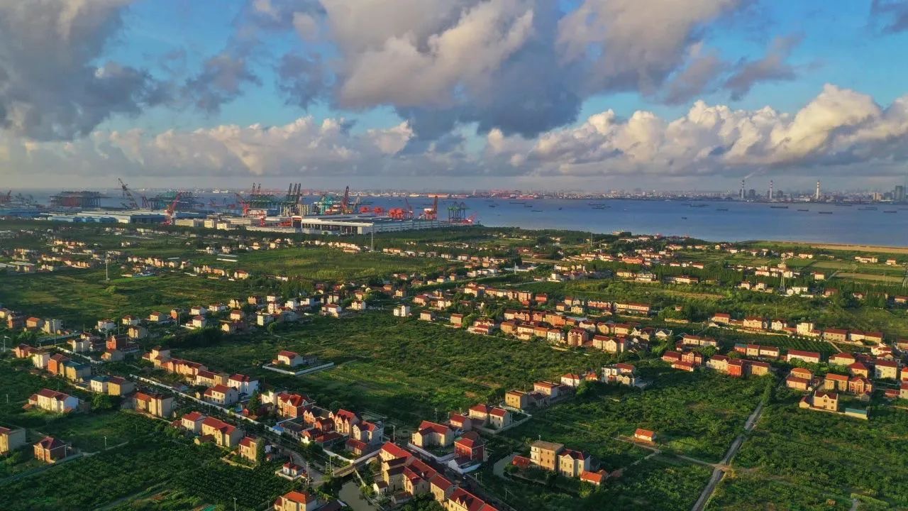 我为长兴镇改善乡村环境献一计