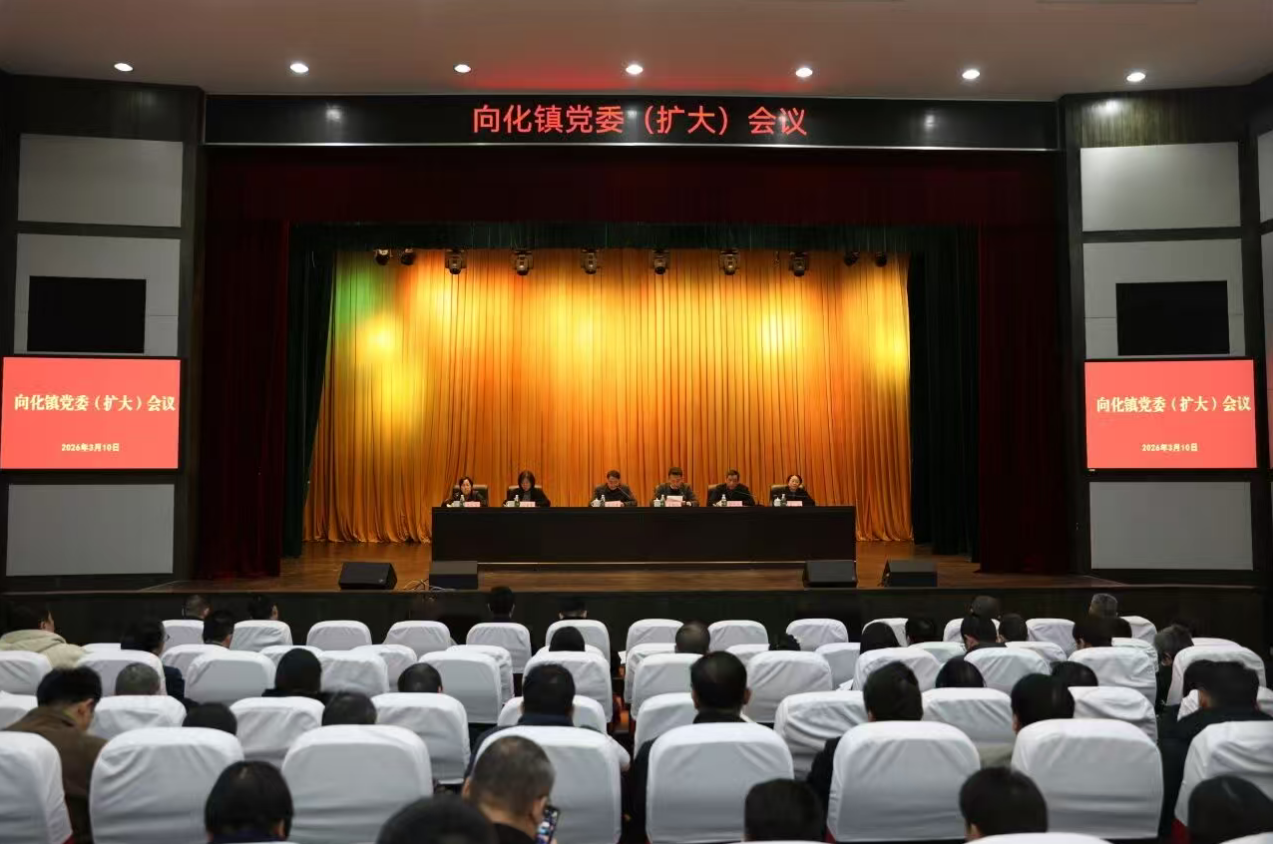 向化镇召开党委（扩大）会议，研究部署树立和践行正确政绩观学习教育工作
