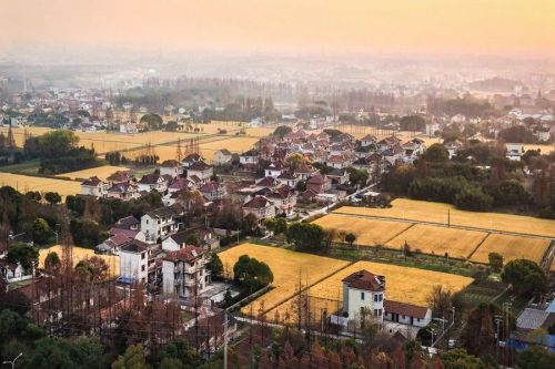 20240819143132056020.jpg 探索崇明湿地的“活力密码”4.jpg