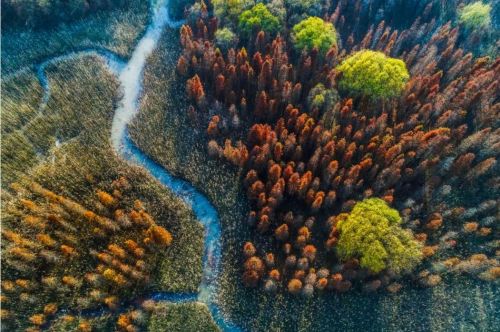 20240819143253002566.jpg 探索崇明湿地的“活力密码”7.jpg