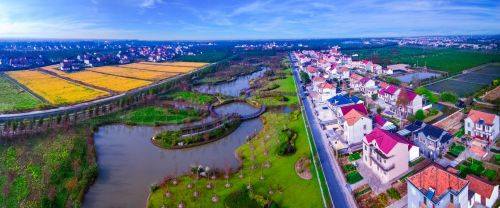 20240819143306054948.jpg 探索崇明湿地的“活力密码”8.jpg