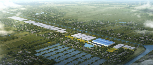 20230918141217094241.png 崇明“蔬菜工厂”来了!2.png