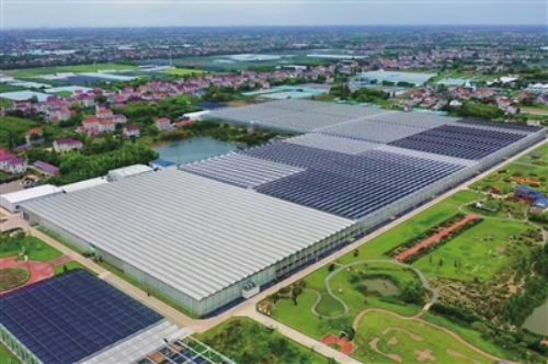 20240718151259070284.jpg 以“红色引擎”促乡村蝶变1.jpg