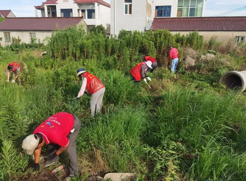 20240905095329082378.jpg 20240905095329082378.jpg