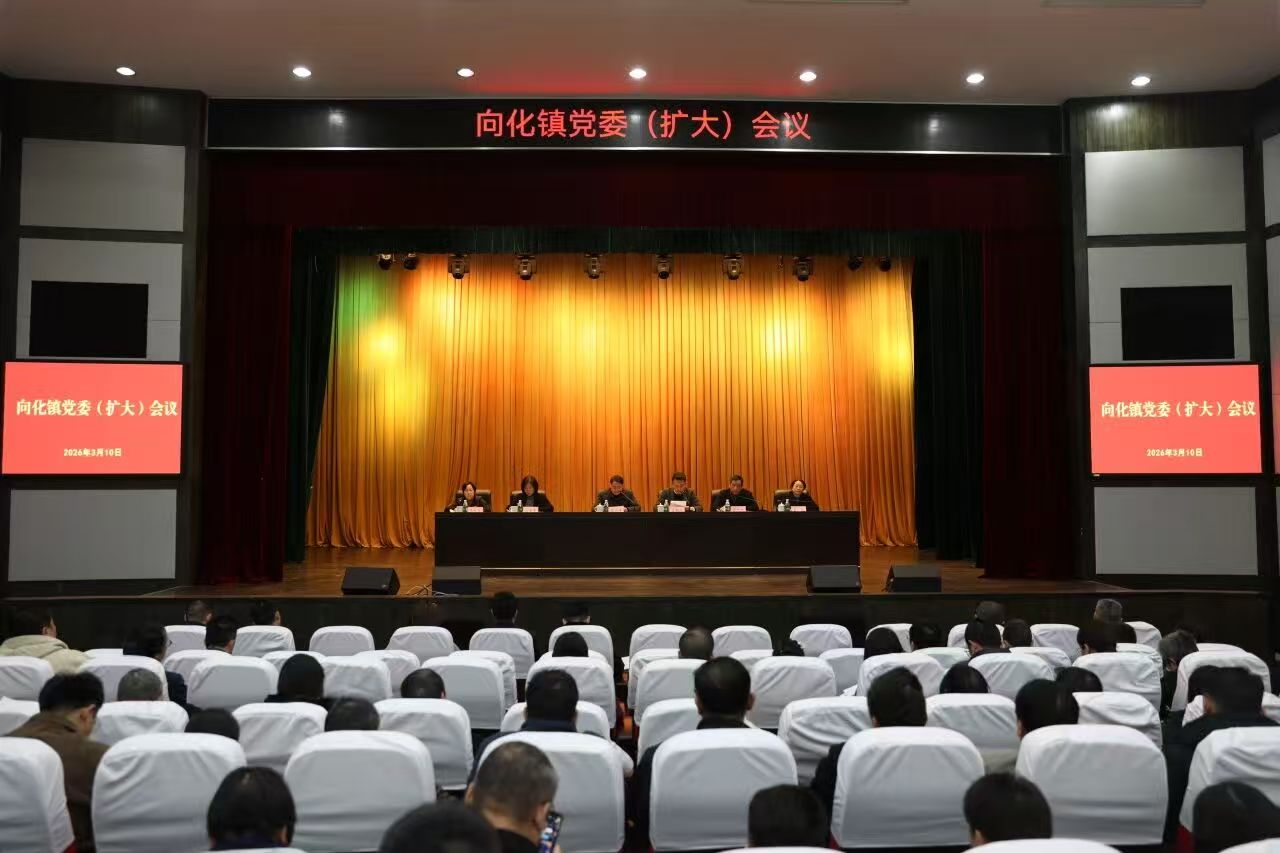 20260310党委会.jpg