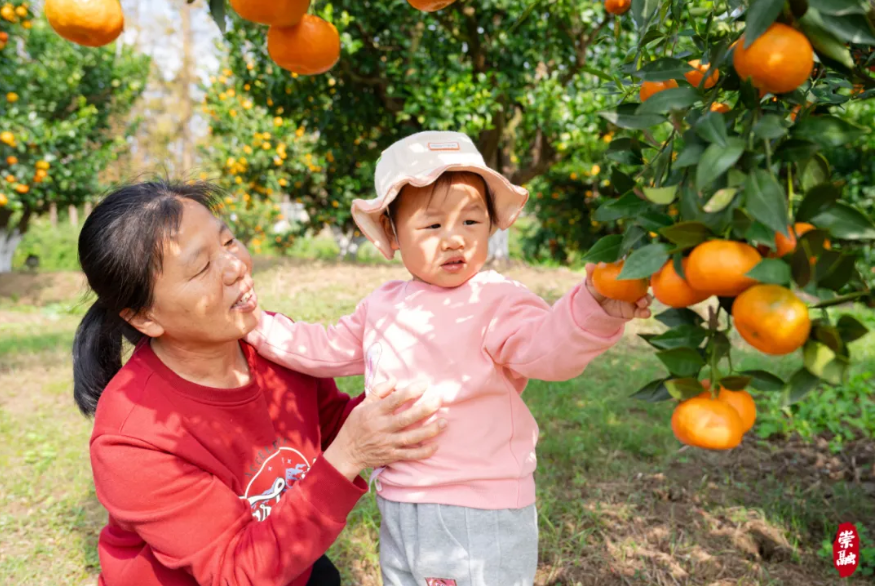 微信图片_20241113153527.png 微信图片_20241113153527.png