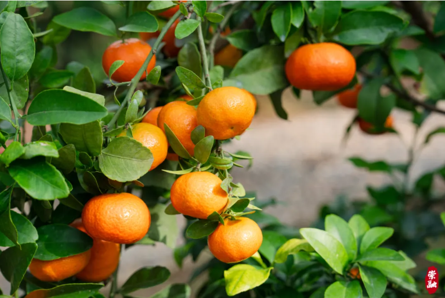 微信图片_20241113153500.png 微信图片_20241113153500.png