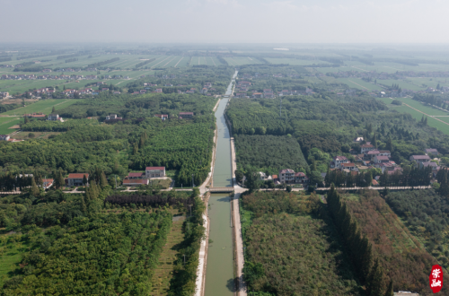 20240814141230099146.png 河道美丽蝶变 绘就靓丽画卷1.png