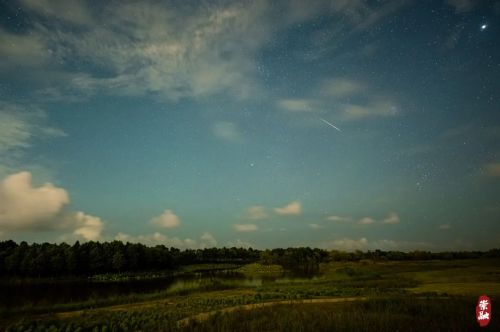 20230815164957041540.jpg 抬头就能见到星空,崇明这里美到令人窒息6.jpg