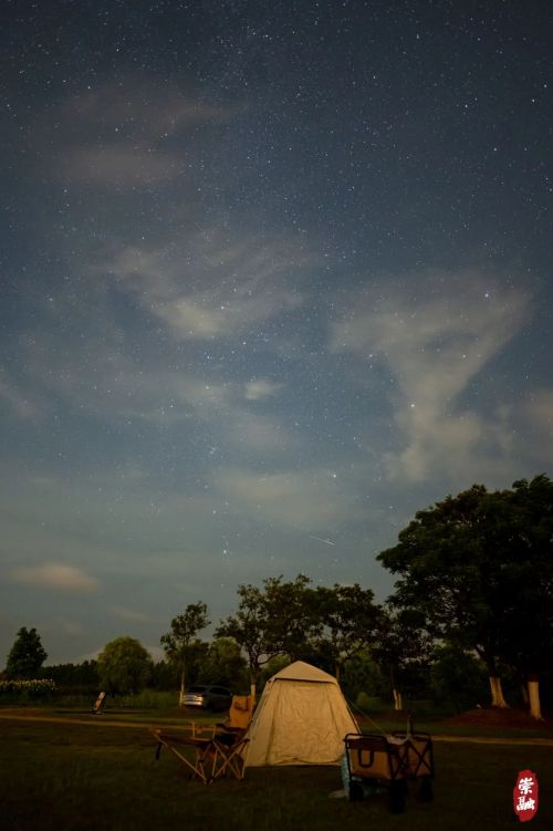 20230815165003079191.jpg 抬头就能见到星空,崇明这里美到令人窒息7.jpg