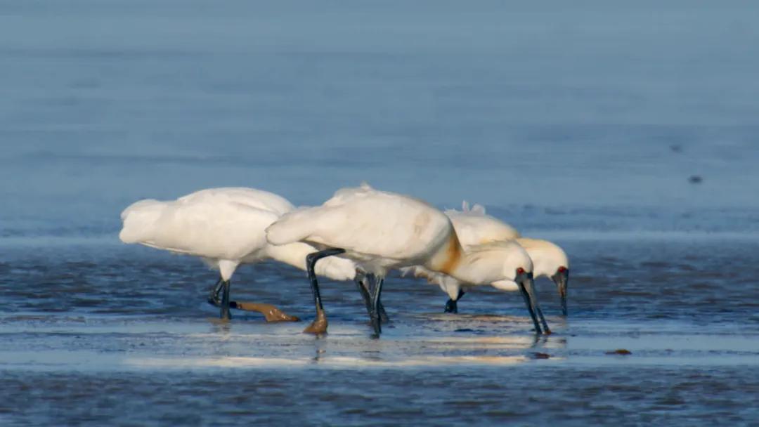 20241017143956050182.jpg 2.jpg