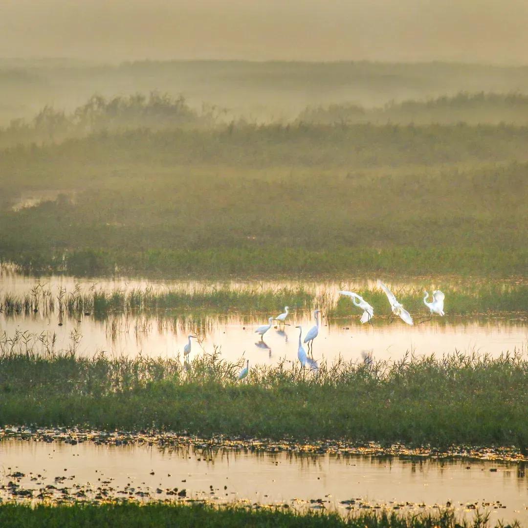 20241017144019003242.jpg 4.jpg