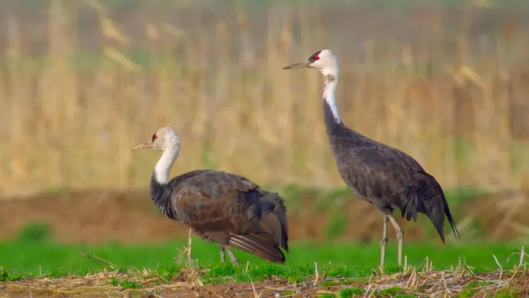 20241017144007092143.jpg 3.jpg