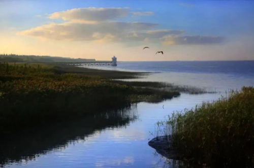 20240822104908013354.png 长江十年禁渔,崇明做得怎么样?7.png