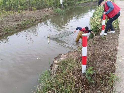 20240822104855064567.jpg 长江十年禁渔,崇明做得怎么样?6.jpg