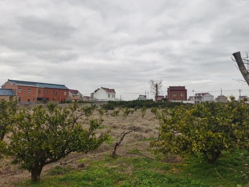 20230908144651041914.jpg 这笔“老牌资产”,在崇明这里仍将大有可为1.jpg