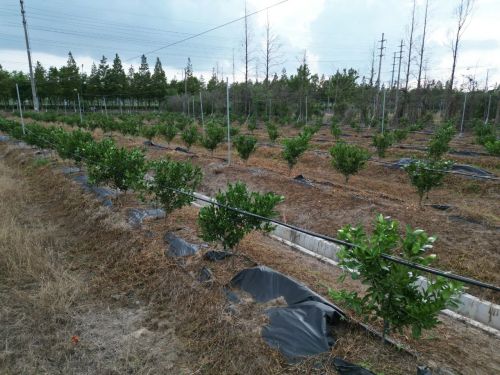 20230908144700043164.jpg 这笔“老牌资产”,在崇明这里仍将大有可为2.jpg