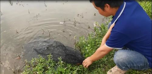 20230713154846013324.jpg 赚了!7.jpg