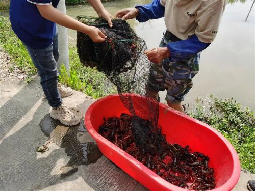 20230713154813099489.jpg 赚了!3.jpg