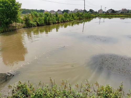 20230713154821049208.jpg 赚了!4.jpg