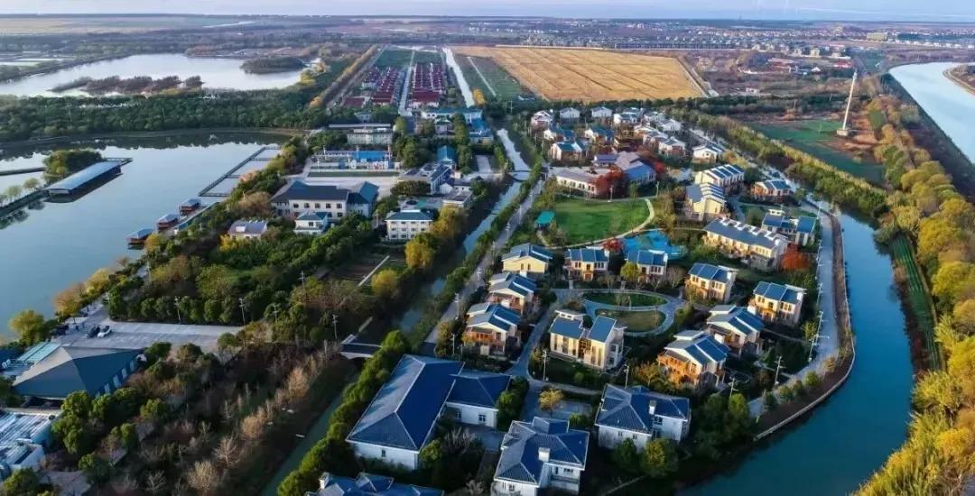 20241015133916038997.jpg 20241015133916038997.jpg