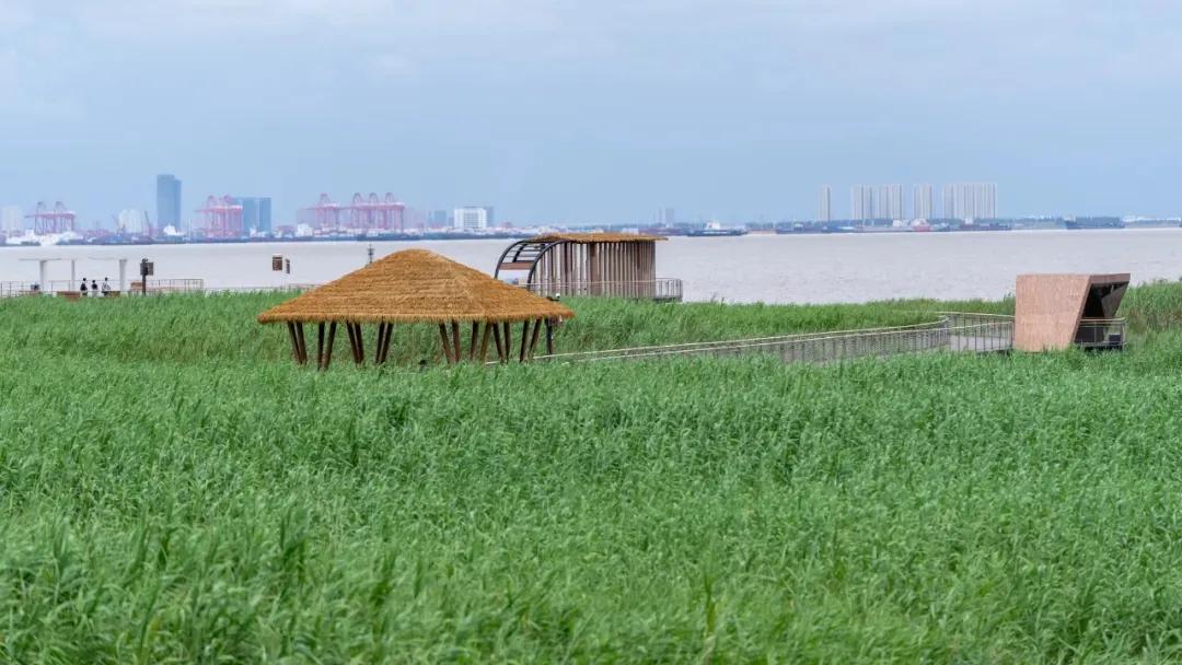 20241015133720053005.jpg 20241015133720053005.jpg